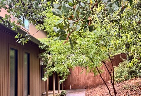 Charming Private setting Duplex in Auburn 2 Bed/2 bath fenced yard & Patio $2195.00 per month